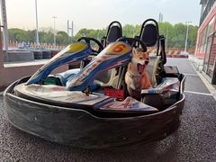 -锐擎卡丁车主题乐园(郊野公园店)