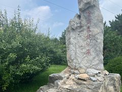 -云岗森林公园