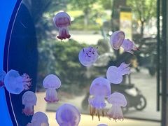 -瑞虹新天地月亮湾
