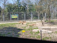 -上海野生动物园