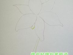 -谷隆画舍·国画书法素描彩铅水彩