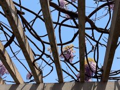 -玄武湖景区-情侣园游乐场