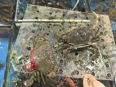 -粤盛海鲜平价店(洛溪食街店)