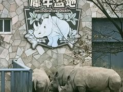 -无锡动物园·太湖欢乐园