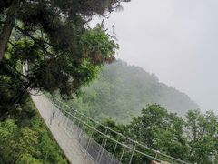 -塔云山