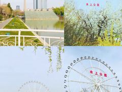 -天津水上公园