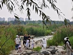 -绿堤公园