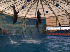 -尼莫海豚馆