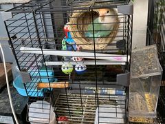 -丽江庭院之爱在路上(西单店)
