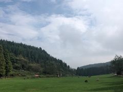 -武陵山森林公园