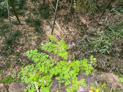 -东坡赤壁风景名胜区