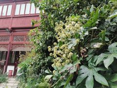 -祝家花園(伯渎港店)