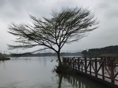 -海珠湖公园