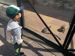 -石家庄市动物园