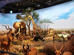 -陕西自然博物馆