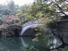 -品凯口腔(丰潭门诊)