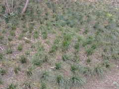 -白鹭湾湿地公园