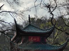 -岳麓山风景名胜区