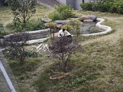 -柳州市动物园