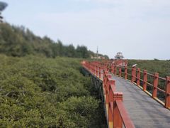 -北海金海湾红树林生态旅游区