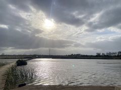 -盐城丹顶鹤湿地生态旅游区