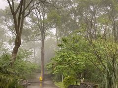 -南山植物园