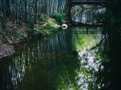 -林丰温泉度假山庄