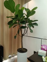 -爱漾皮肤管理中心