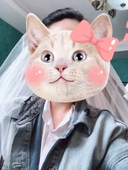 -麦迪孕妇照摄影(大师店)