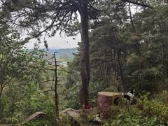 -辛安庄鸡鸣山景区