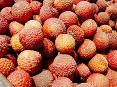 -乐乐鲜果水果超市(河北店)