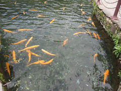 -丽江玉水寨