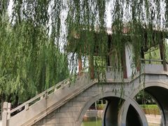 -团结湖公园