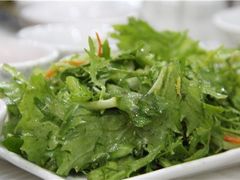 蔬菜-草原饭店火锅