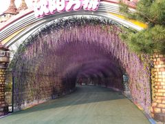 -沈阳方特欢乐世界