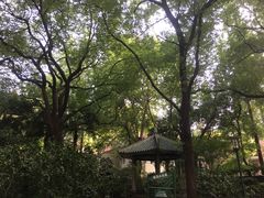 -华山儿童公园