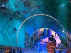 -瑞德姆美人鱼海底演艺主题餐厅(亚龙湾店)