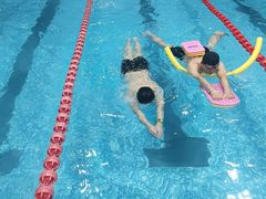 -飞鲨游泳培训学校