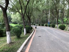 -丁香湖公园