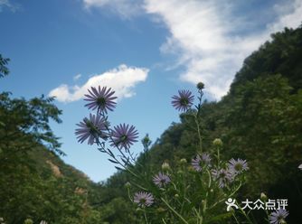 北京城沿着阜石路一路向西到门头沟，上109国道