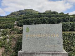 -龙井村