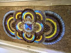 -上海昆虫博物馆