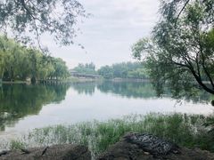 -百脉泉景区