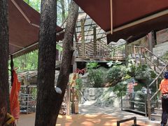 -巴倒烫陆派重庆火锅(南山店)