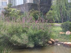 -南阳建业森林半岛假日酒店