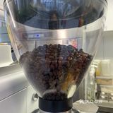 意外的遇见，就在阳春三月天！