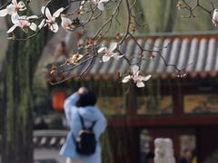 -碑林公园