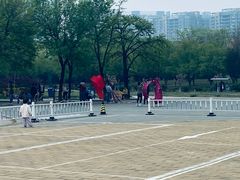 -太阳宫公园