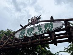 -鹦鹉过山车