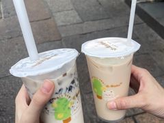-猫的魔法密林(衣裳街店)